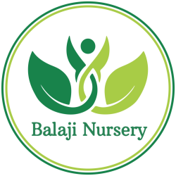 Balaji Nursery Editorial Team