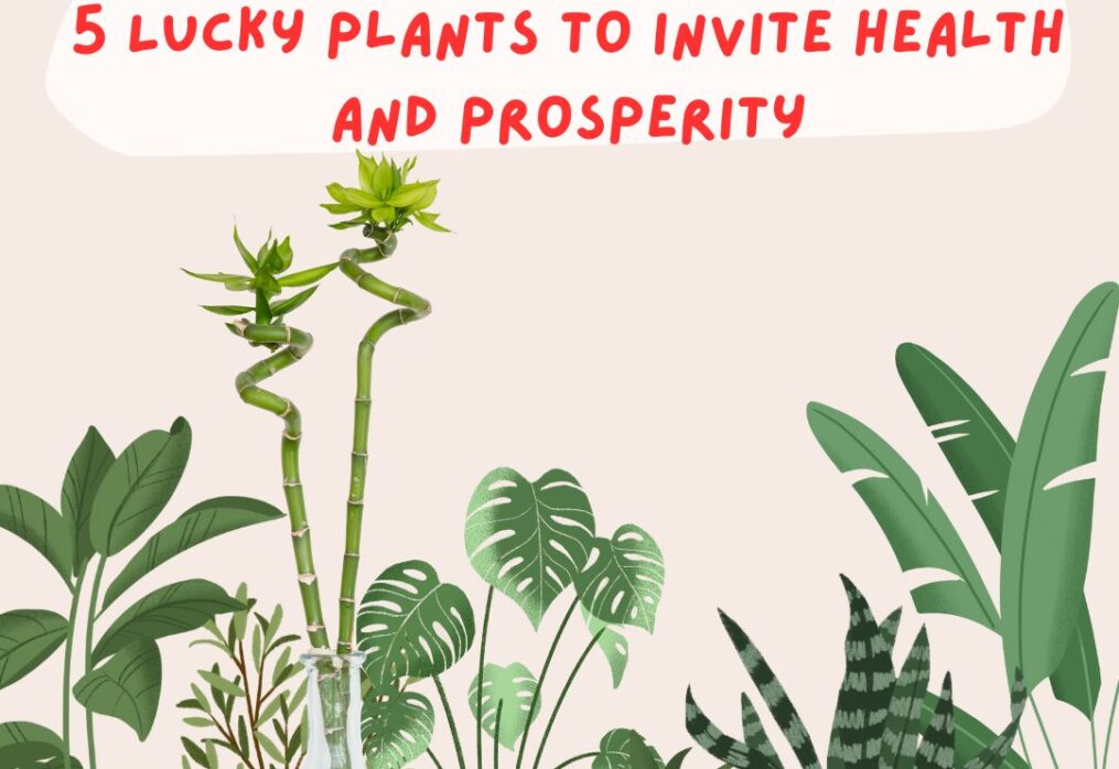 5 Lucky Plants to Invite Health and Prosperity