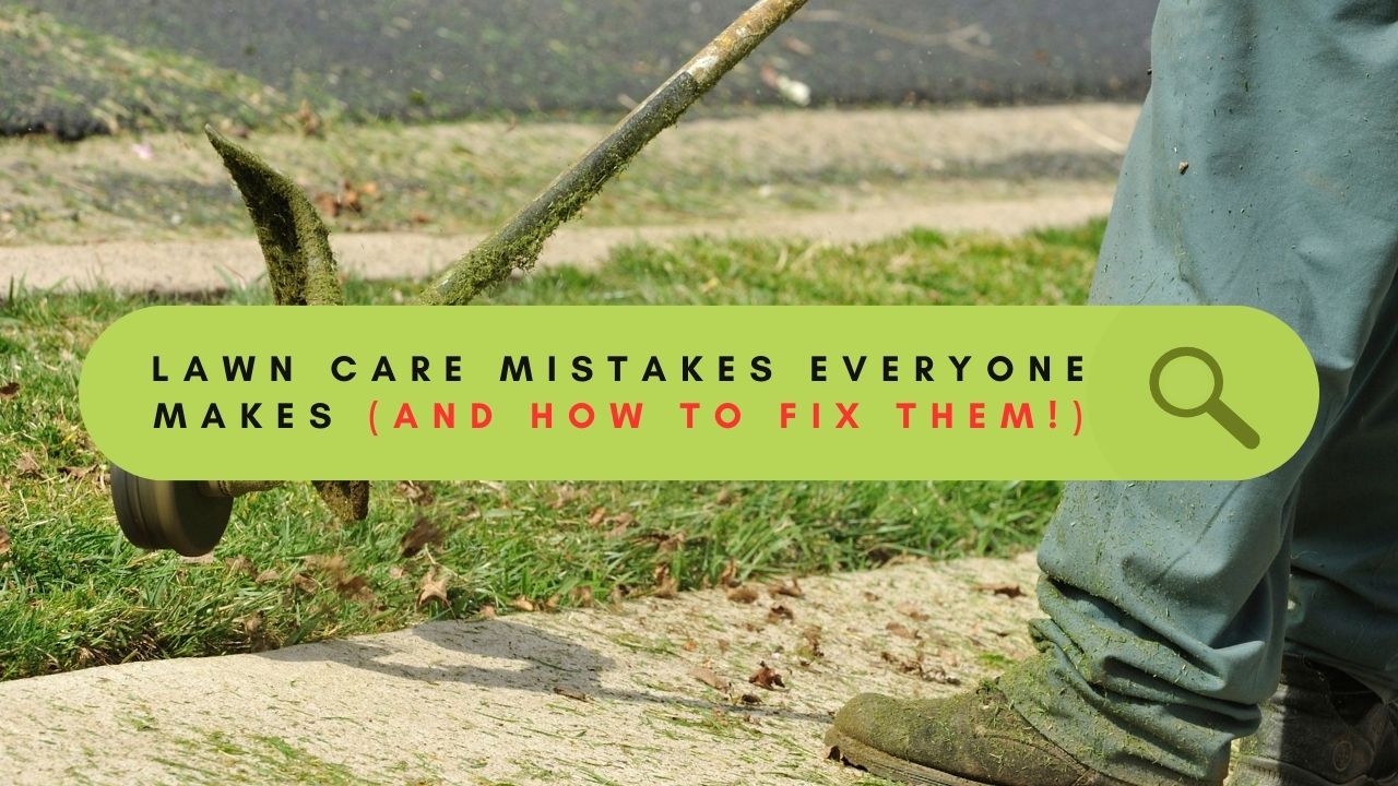 Lawn Care Mistakes Everyone Makes (and How to Fix Them!)