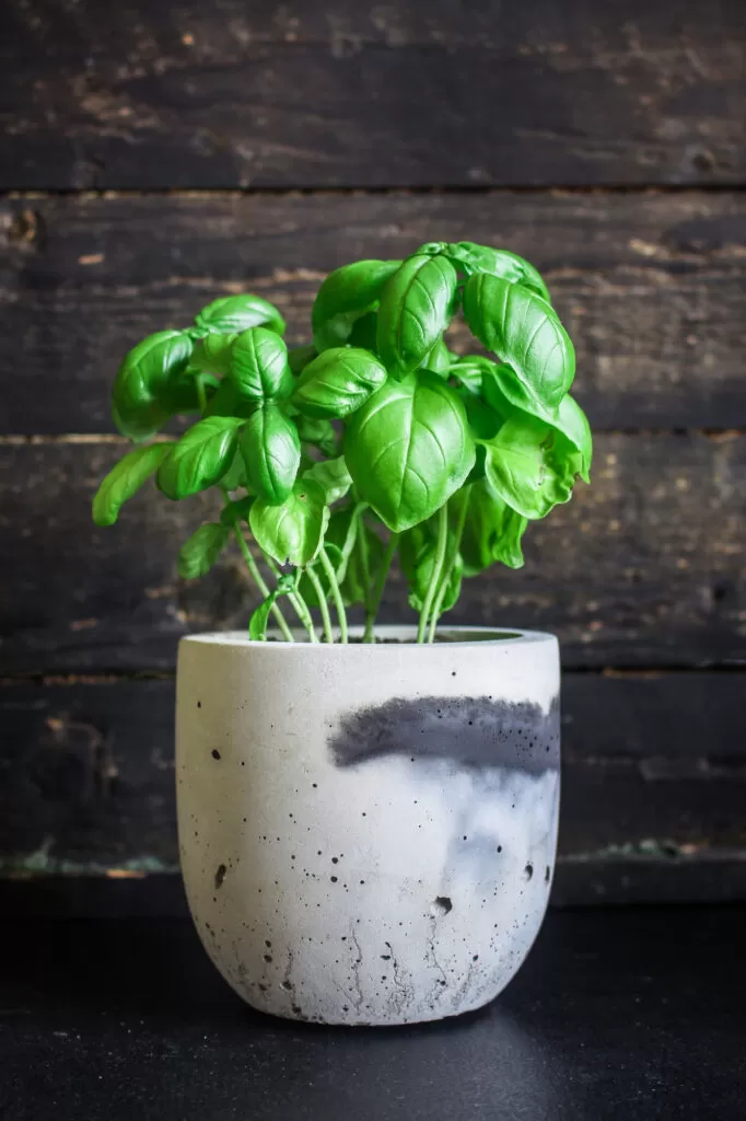 large artificial plants for indoors Artificial Ledge Plant in Espresso Wooden Planter, Faux Greenery Decor   allseasonshousedecor.com