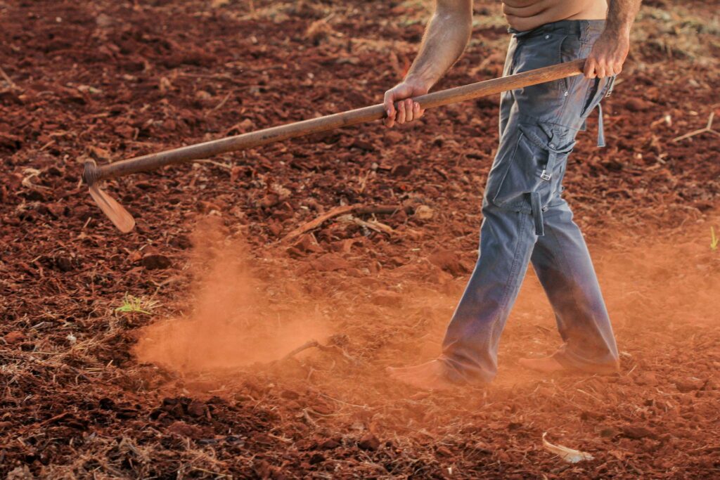 Easy ways to control weeds: Now say goodbye to weeds