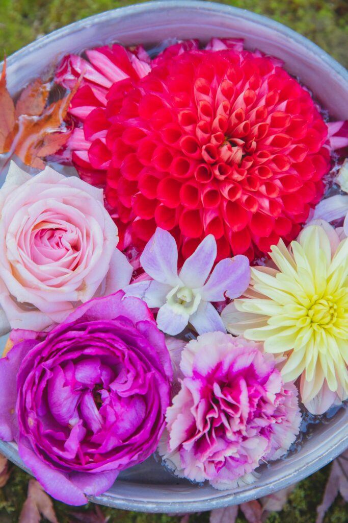 10 Flowers You Can Gift on International Women’s Day