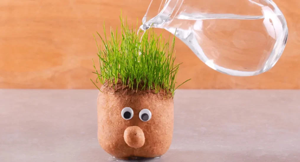5 Tips on how to make grass grow