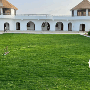 What is the best grass for a perfect lawn?