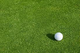 Bentgrass