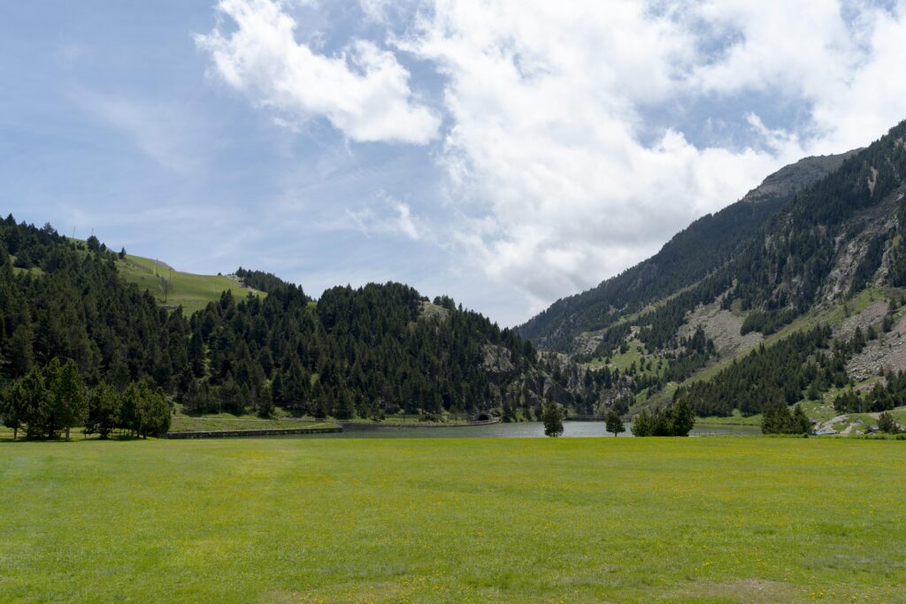 Best grass for lawn in Kashmir