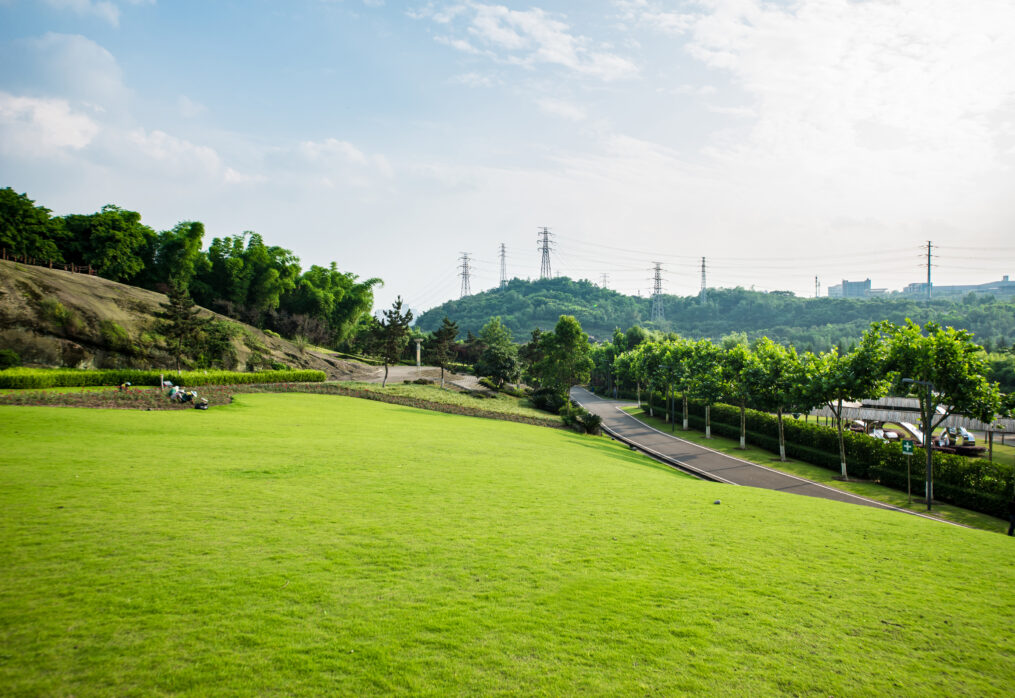 Best grass for lawn in Kashmir