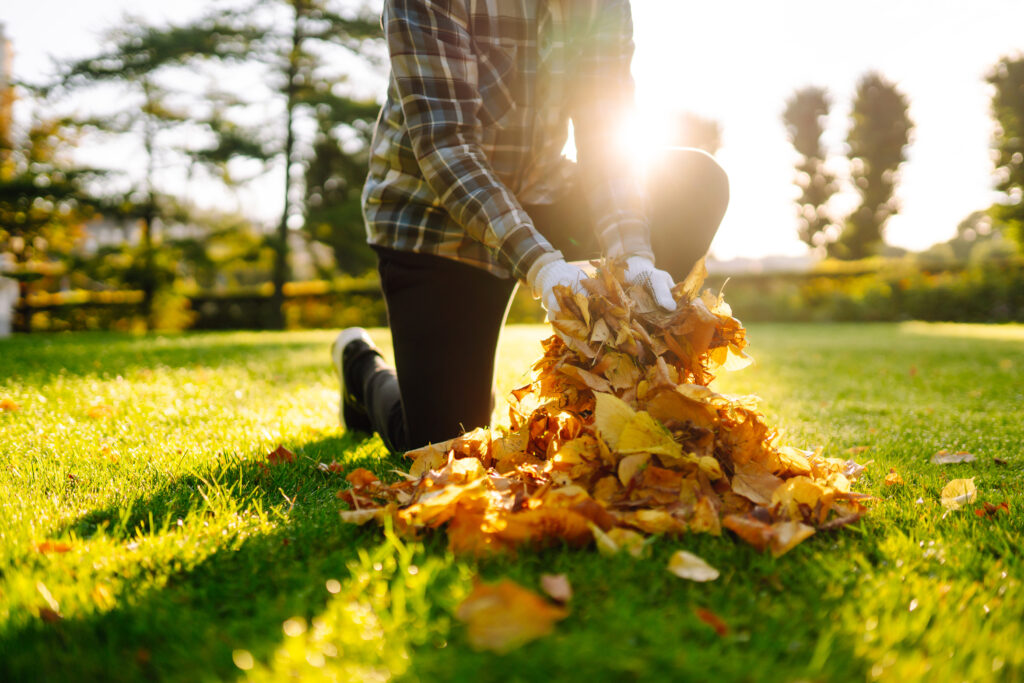 November Lawn Care Tips