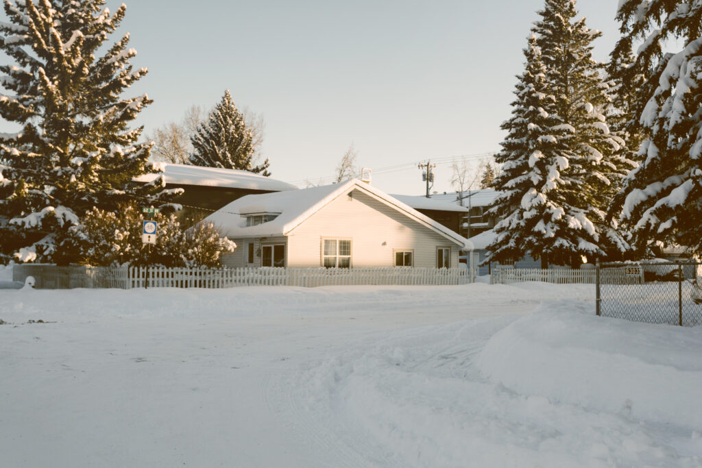 Snow Removal from Your Garden