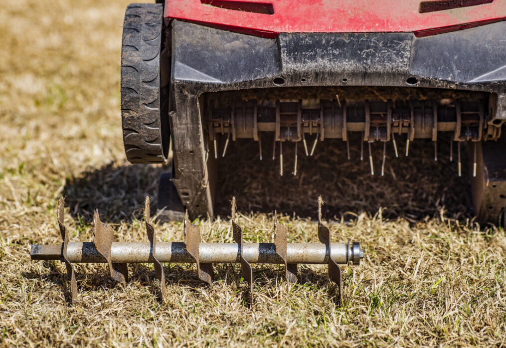 Why Lawn Aeration is Important