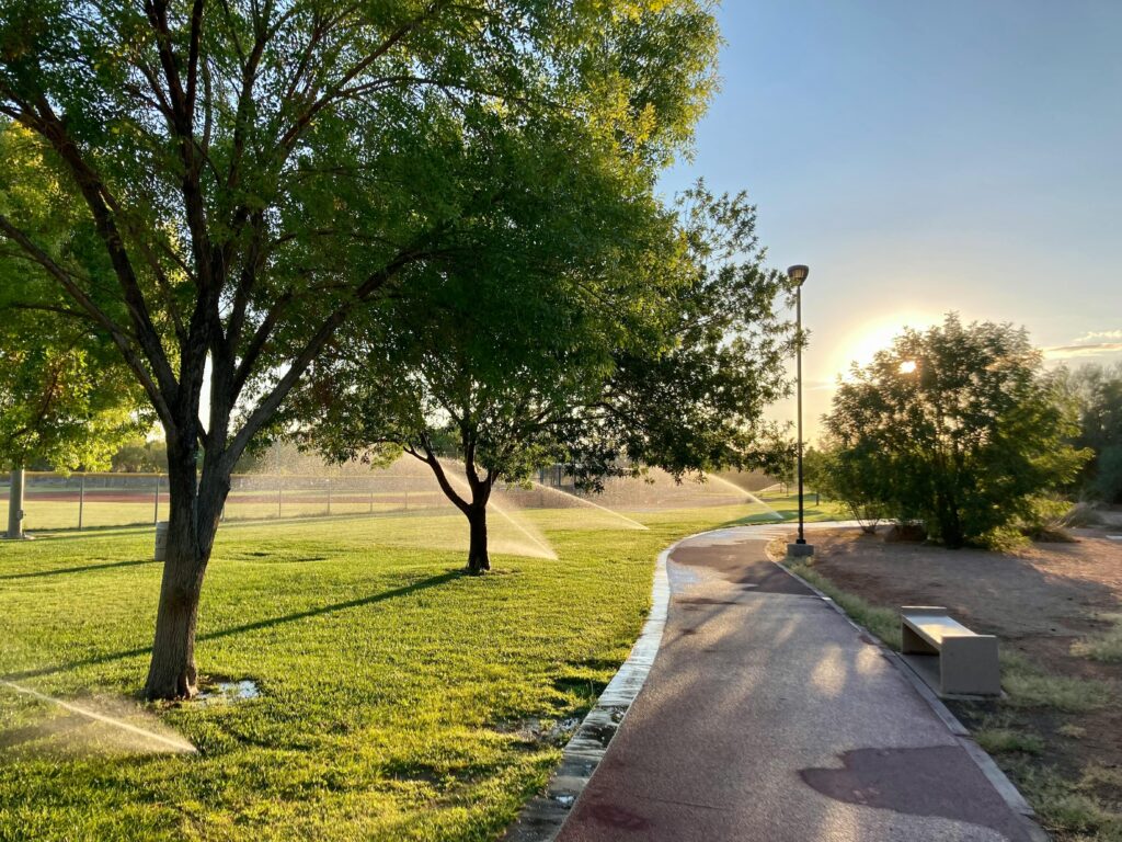 When Is the Best Time to Water Your Grass?