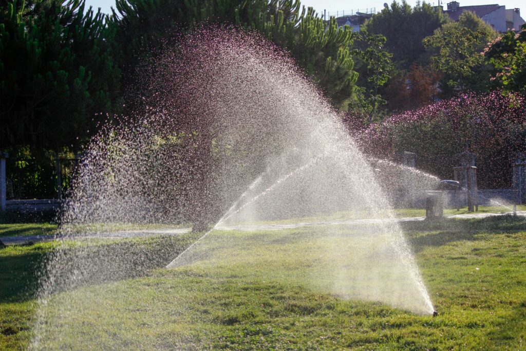 When Is the Best Time to Water Your Grass?