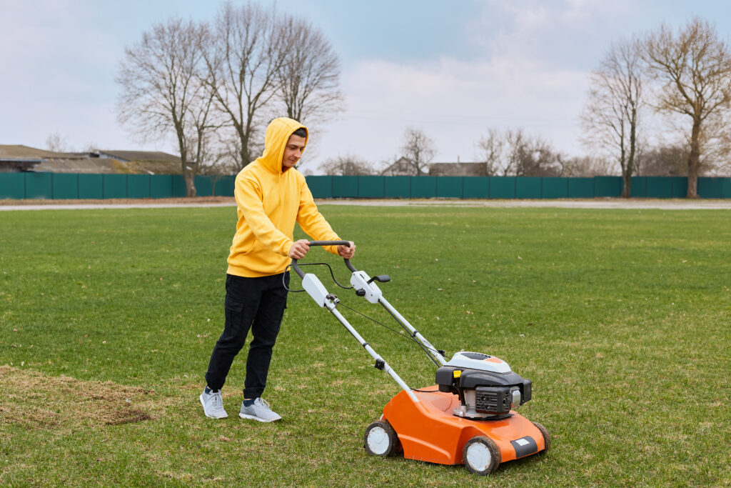 November Lawn Care Tips