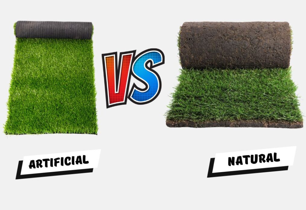 Artificial Grass vs Natural Turf: Which is Better?