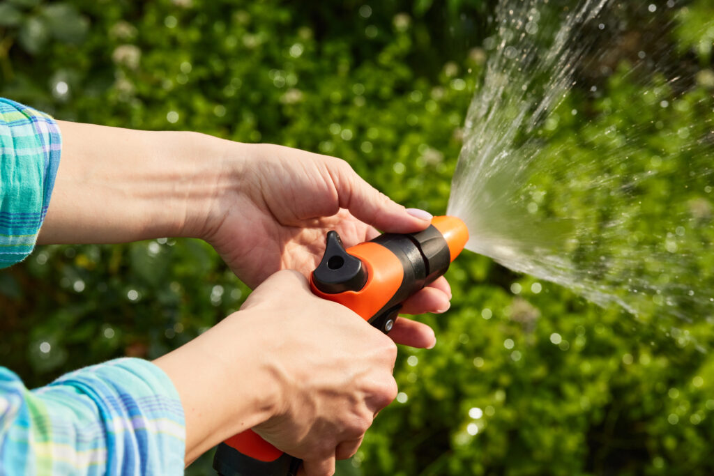 Water-saving tips for lawn care