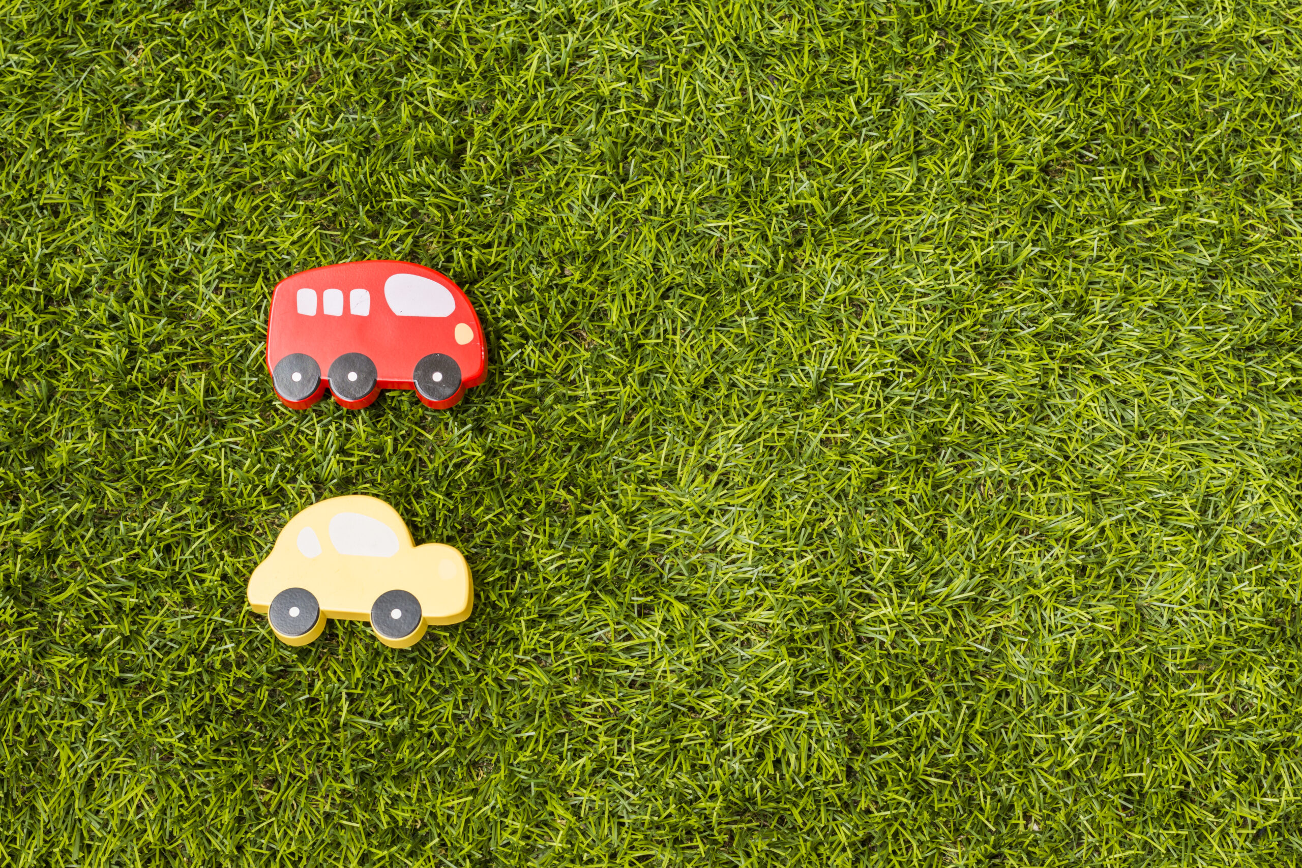 Picture of Drought-Resistant Natural Lawn Grasses for a Green Yard - Balaji Nursery