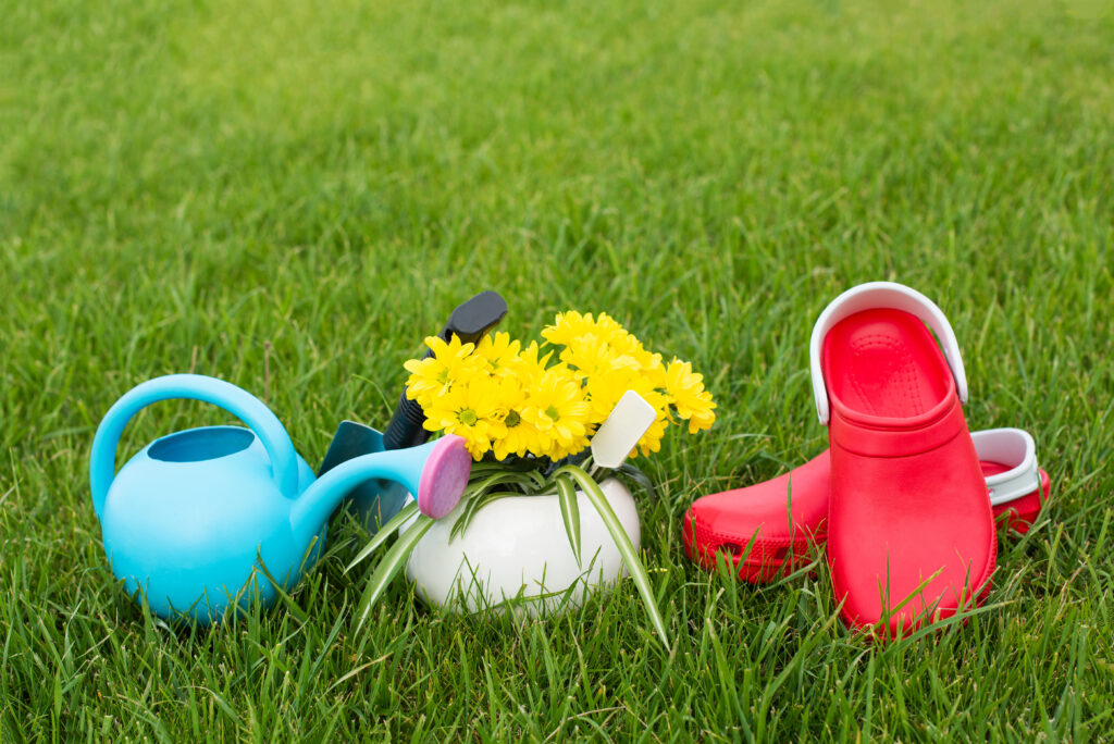 Drought-Resistant Natural Lawn Grasses for a Green Yard