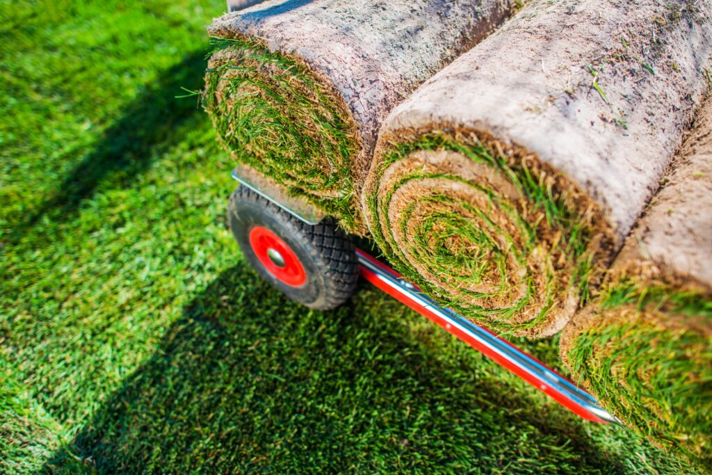 Where to Buy Natural Lawn Grass Near You