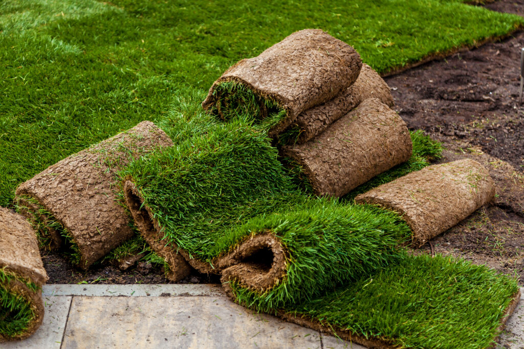 Best Natural Turf for Gardens: Top 5 Picks