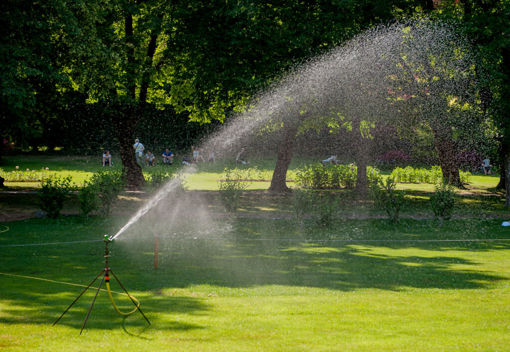 Effective Lawn Watering Techniques for Healthy Grass