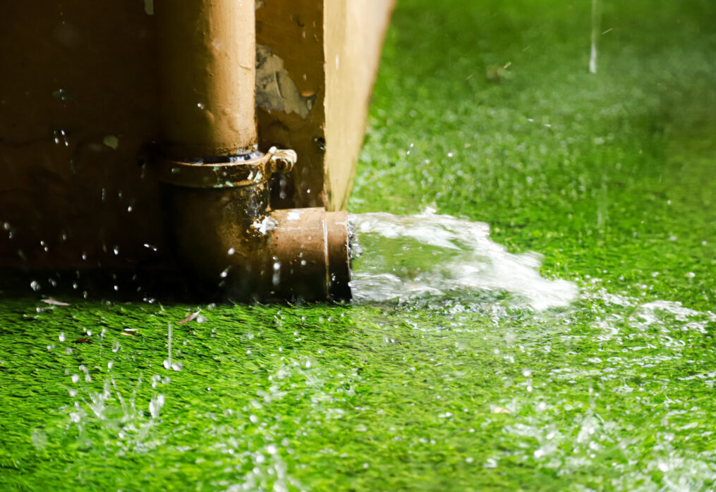 Water-Saving Tips for Sustainable Lawn Care