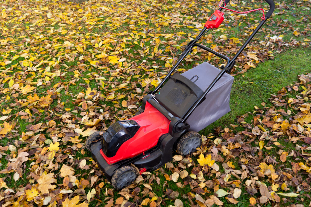 how to prepare natural lawn grass for winter