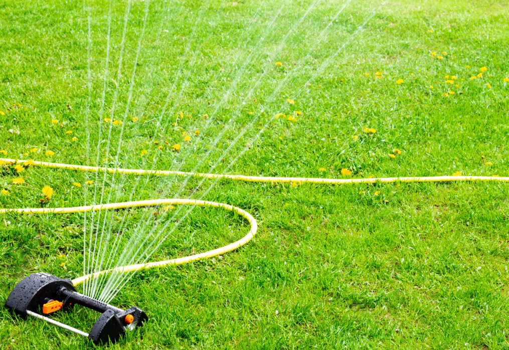 Effective Lawn Watering Techniques for Healthy Grass