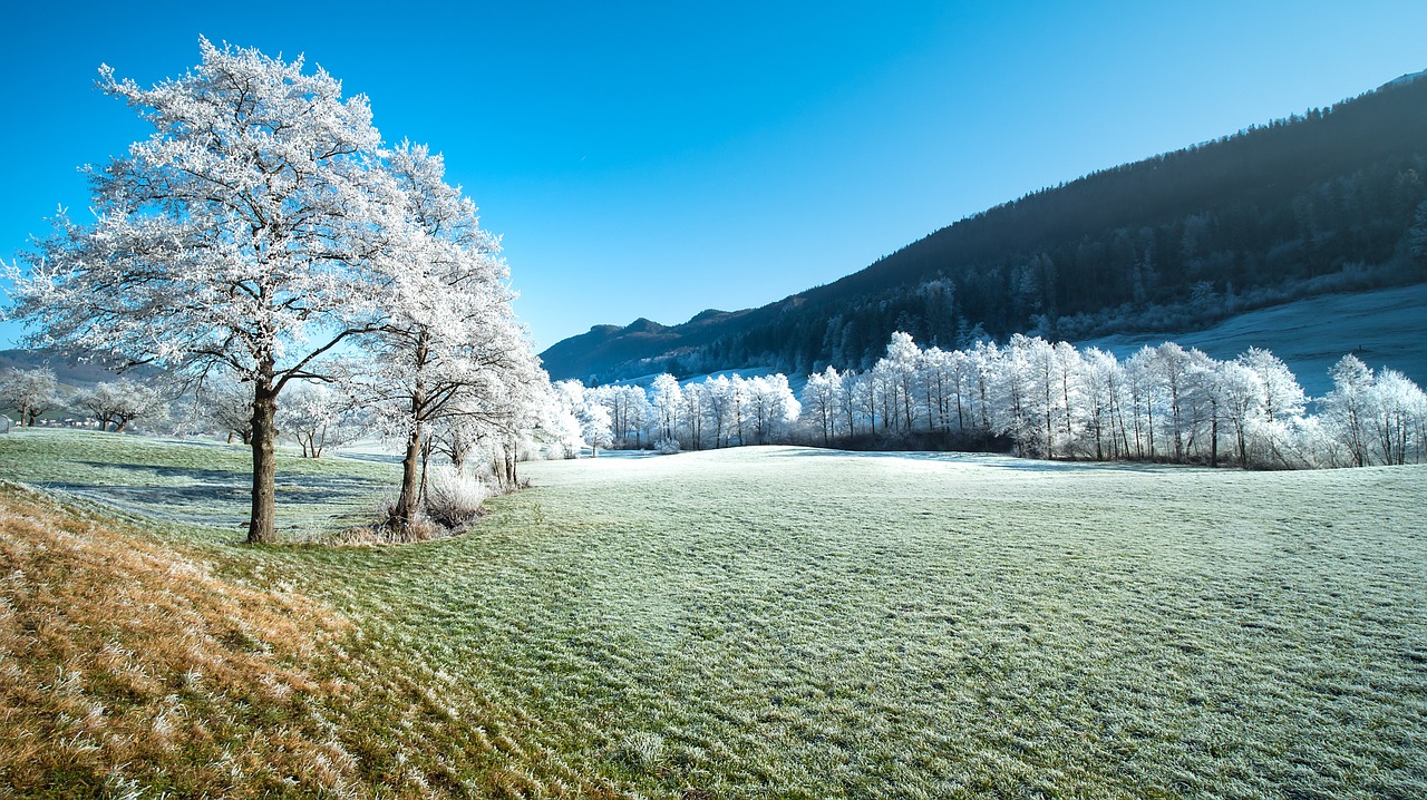 林祐介　KARHU & Picturesque Winter Landscape Winter Landscaping Tips: Preparing Your Garden for Cold Weather