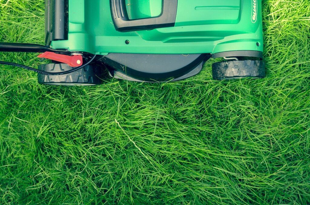 Lawn Maintenance Near Me: Find the Best Lawn Care Services for Your Yard