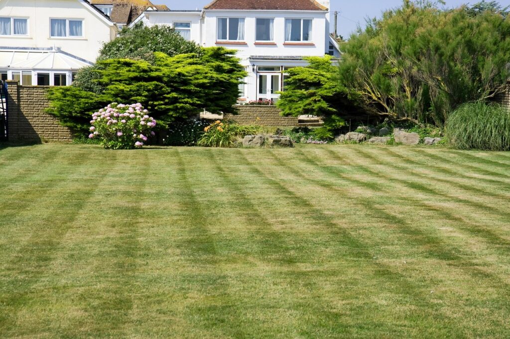 Common Mistakes to Avoid When Growing Natural Lawn Grass