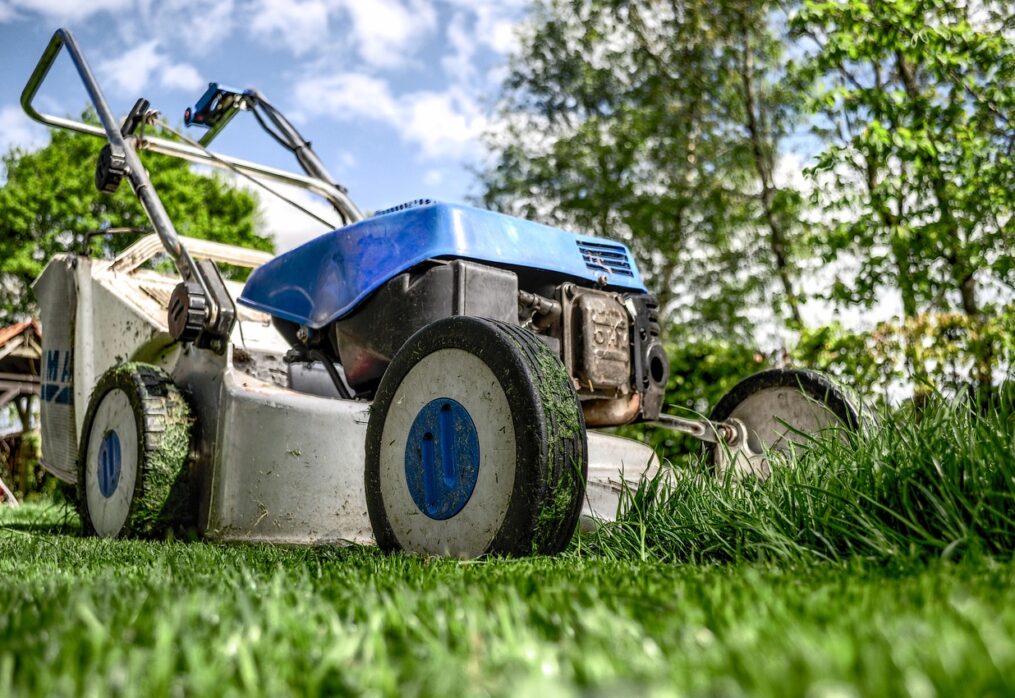 Lawn Care Near Me: Find the Best Services for Your Yard