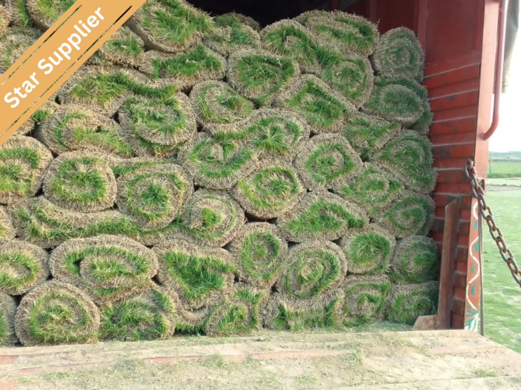 Natural grass suppliers in Ahmedabad