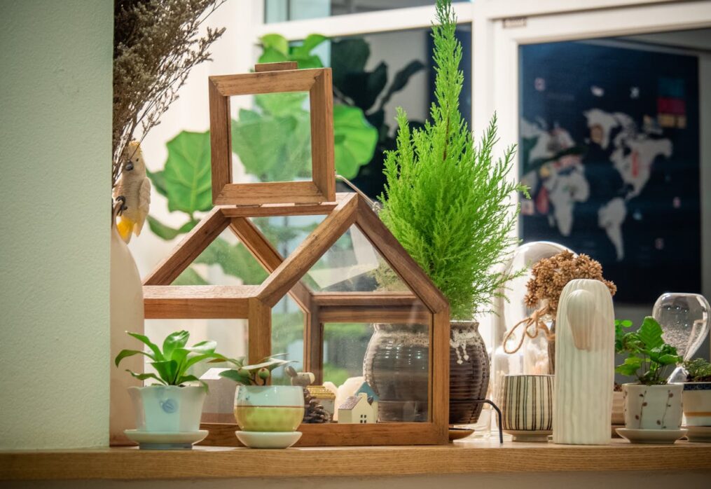 The Best Vastu-Friendly Plants to Keep in Your Living Room