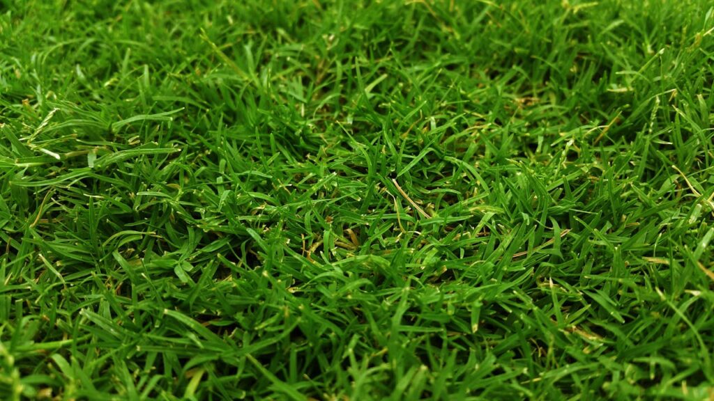 Vastu for Lawn