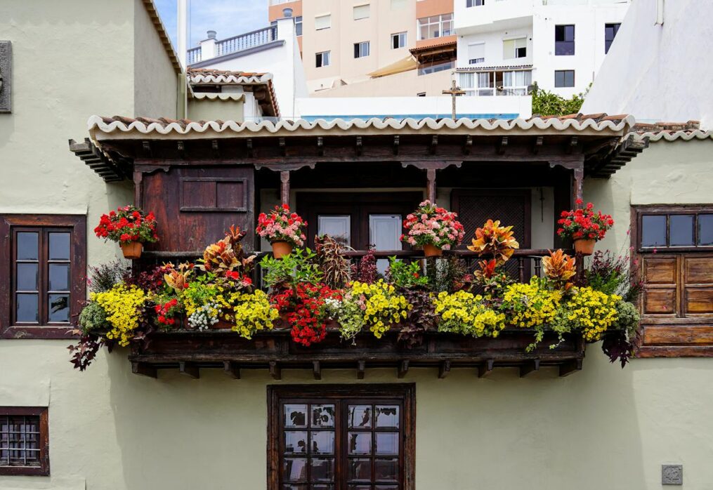 Vastu Tips for Decorating Your Balcony with Lucky Plants