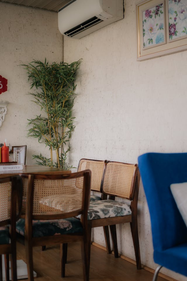  Lucky bamboo plant in a glass vase placed on a dining table.