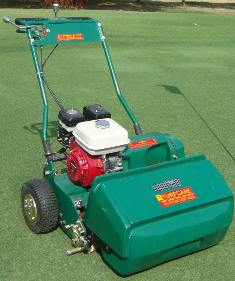 Bermudagrass fungus treatment