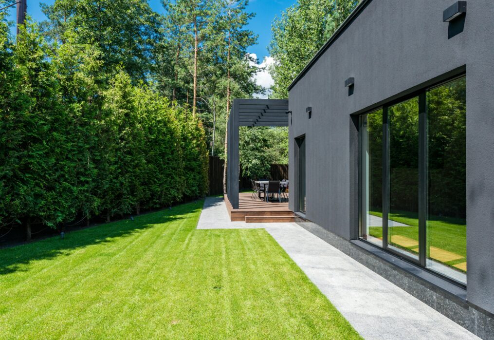 How to Choose the Best Lawn Grass for Your Backyard