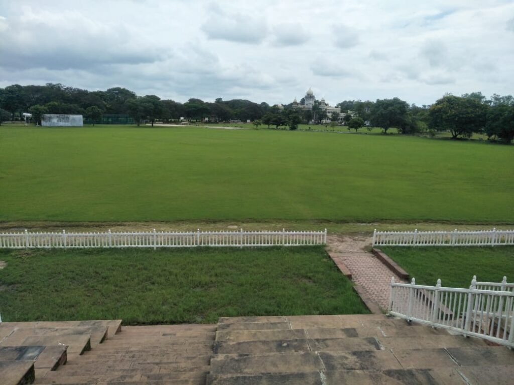 Natural sports turf grass on a professional football ground