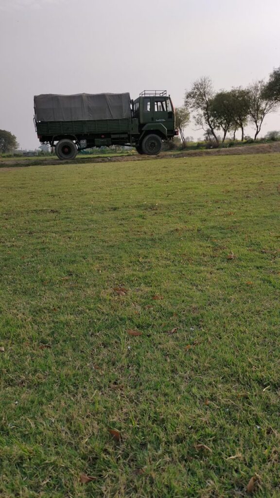 Best natural grass for Indian lawns