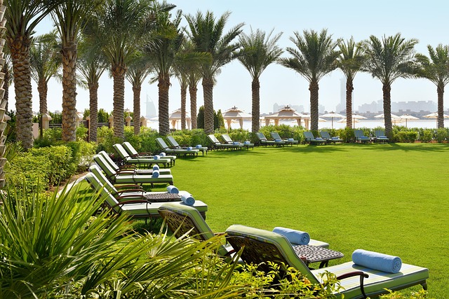 Natural turf maintenance in hotel premises to ensure lush green appearance