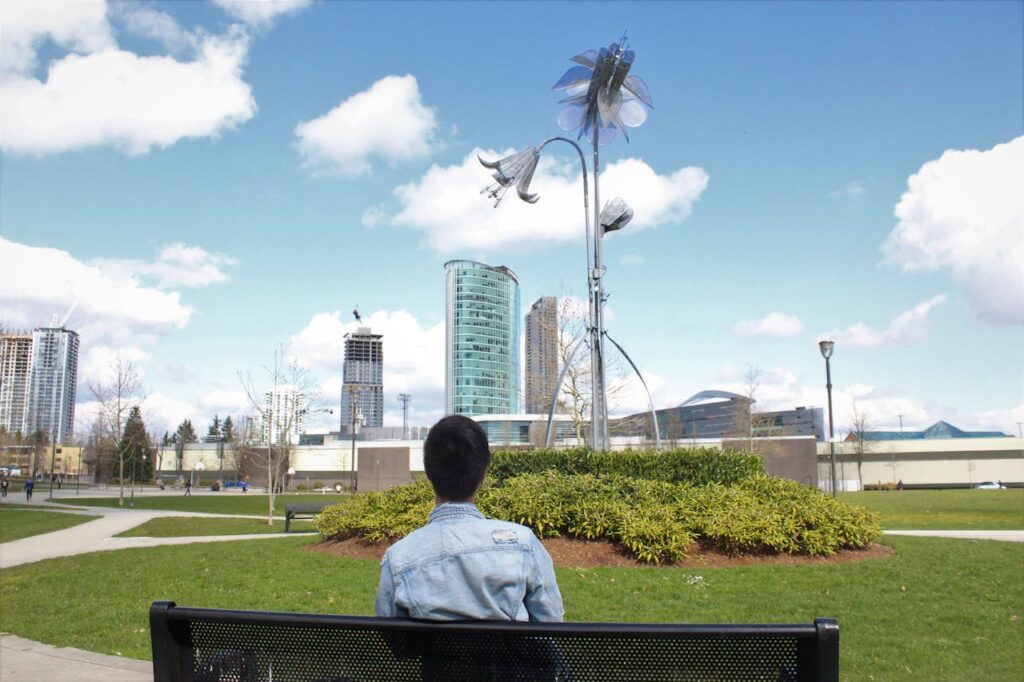 Detailed view of fresh, green turfgrass ideal for public park areas and sustainable urban spaces.