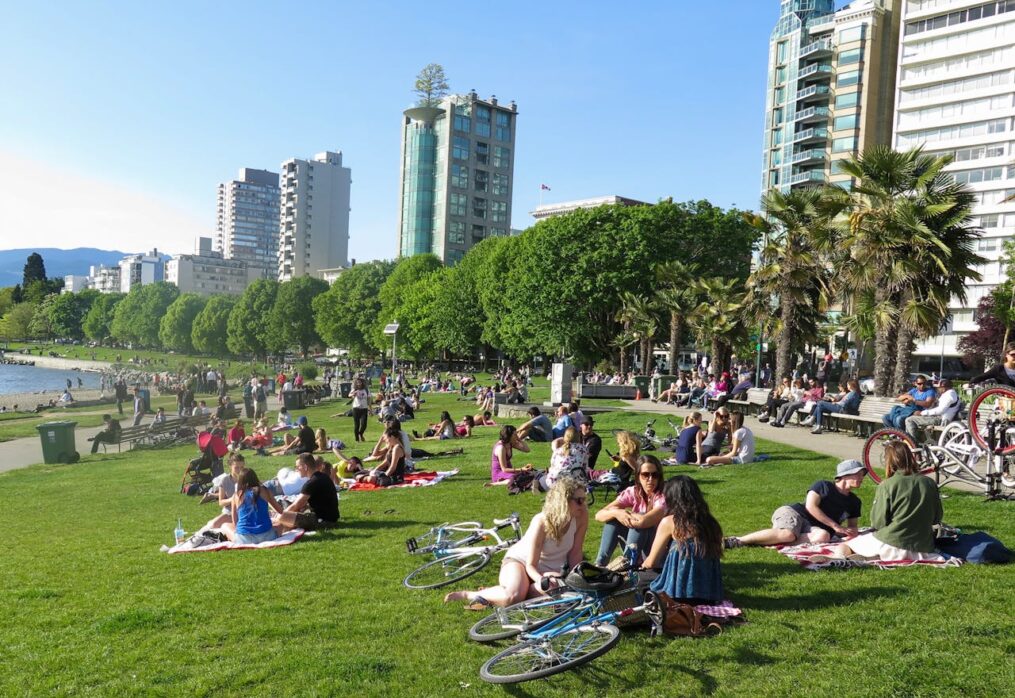 Natural Grass for Public Parks and Government Projects