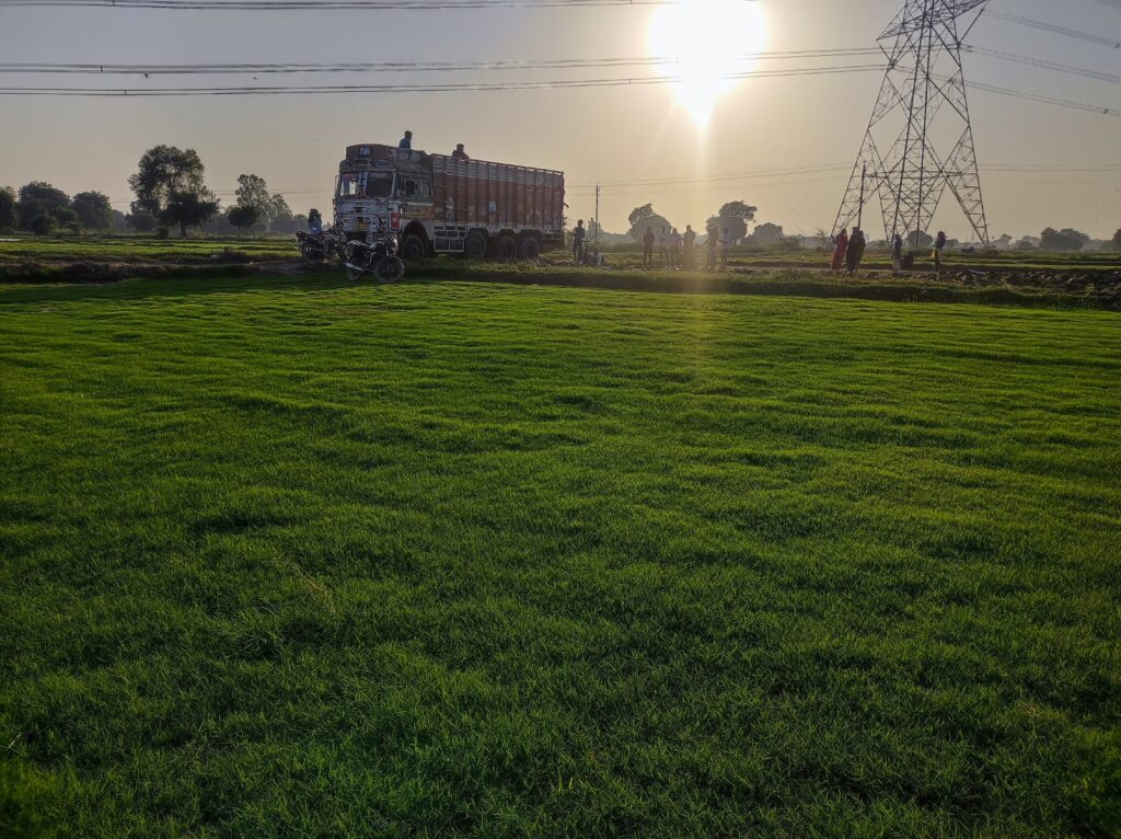 Fresh premium lawn grass rolls ready for installation in a Delhi NCR garden