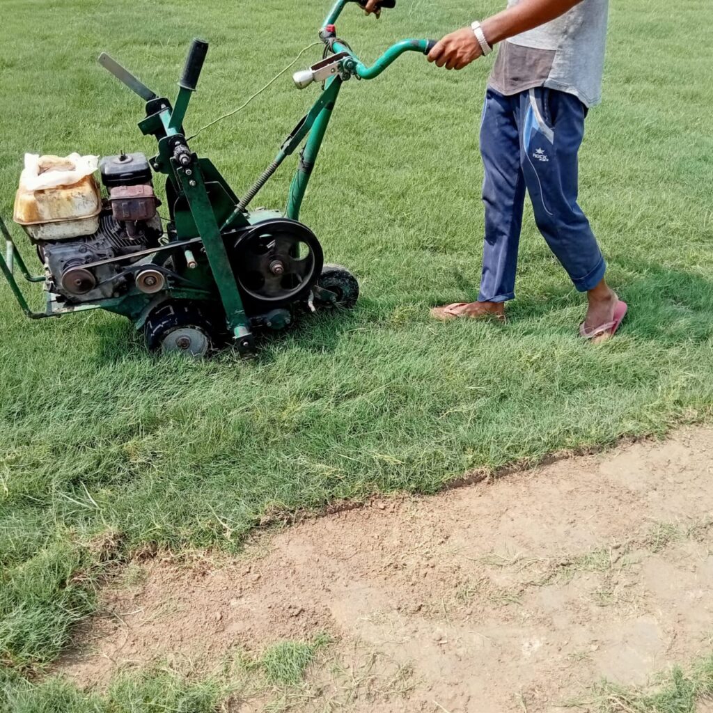 Thick lawn grass on a sports ground in a Delhi college