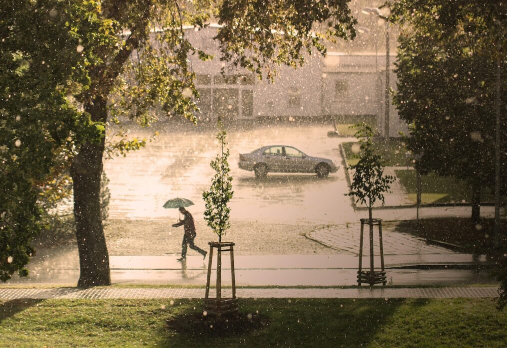 Monsoon-Ready Lawn: Preparing Natural Grass for Heavy Rain in India