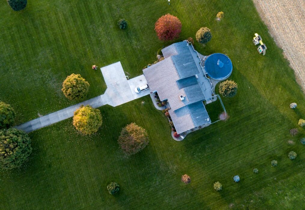 Best Lawn Grass Types for Indian Climate (With City-Wise Recommendations)