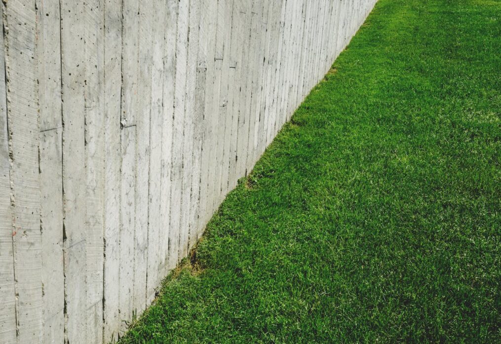 Vastu Tips for Lawn Grass Placement: Does It Attract Positivity?