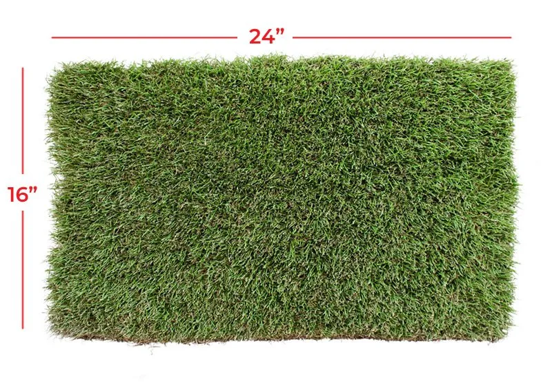  Natural Lawn Care for Zeon, Zorro, and Emerald Grass