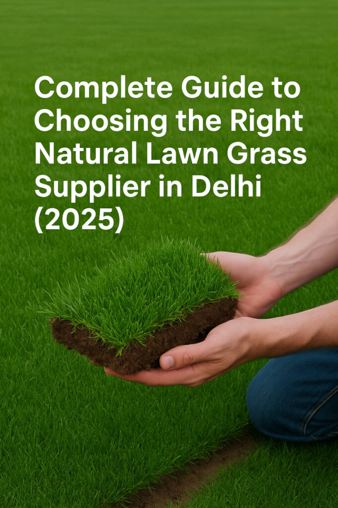 Buy Natural Grass Delhi